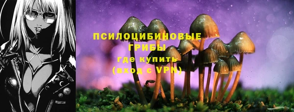 PSILOCYBIN Богородск